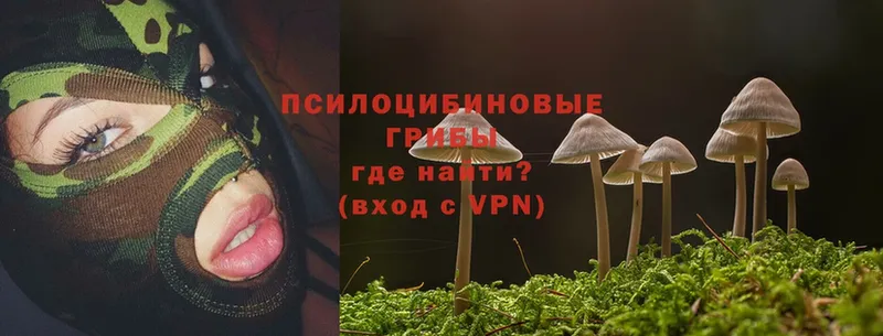 Галлюциногенные грибы Cubensis  как найти   Карачаевск 